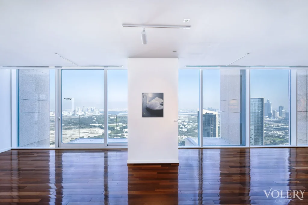Higher Than The Sun 2 — view 5